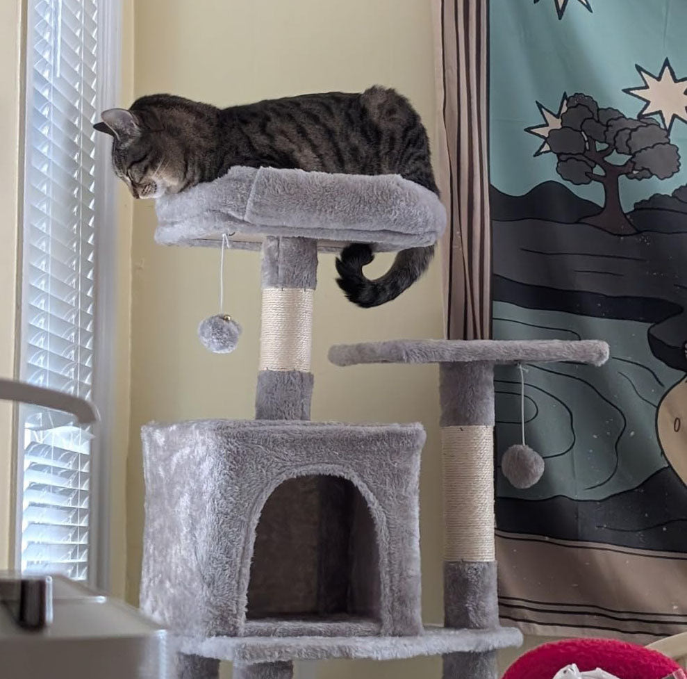 155cm Cat Tree, Plush Multi-Level Cat Condo